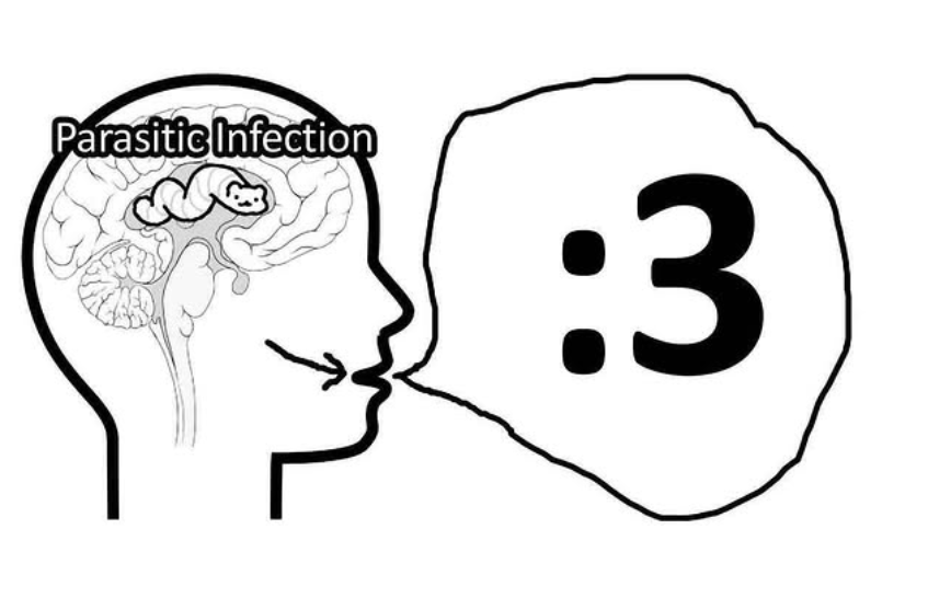 Shitpost 2077 (@shitpost_2077) on Twitter photo 