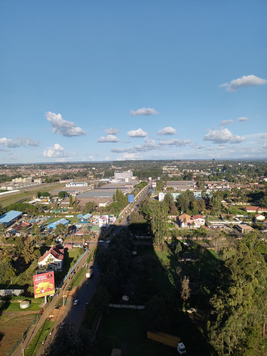 𝕿𝖍𝖊 𝕰𝖑𝖉𝖔𝖗𝖎𝖆𝖓 tweet media