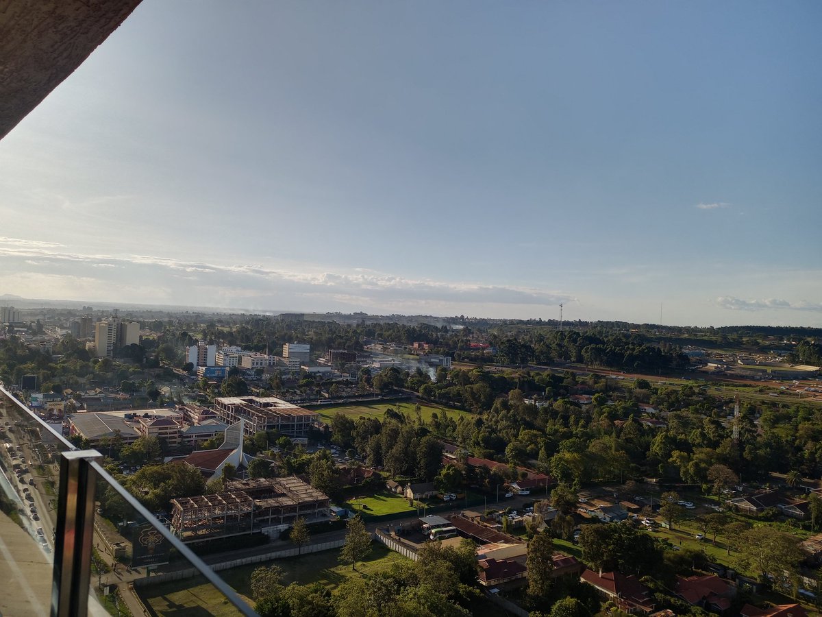 𝕿𝖍𝖊 𝕰𝖑𝖉𝖔𝖗𝖎𝖆𝖓 tweet media