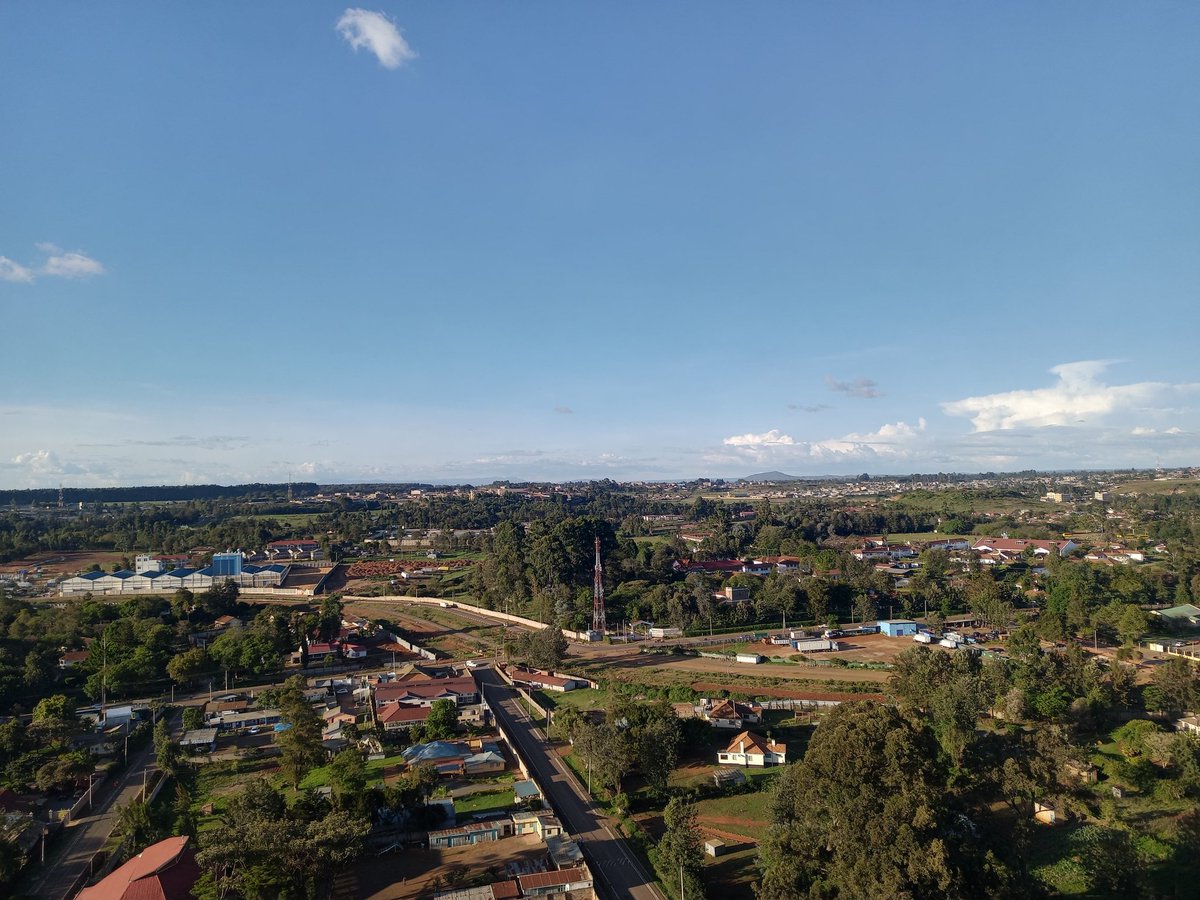 𝕿𝖍𝖊 𝕰𝖑𝖉𝖔𝖗𝖎𝖆𝖓 tweet media