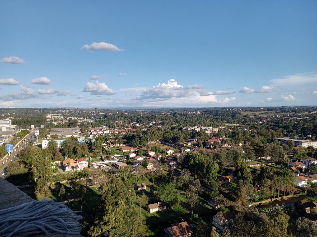 𝕿𝖍𝖊 𝕰𝖑𝖉𝖔𝖗𝖎𝖆𝖓 tweet media