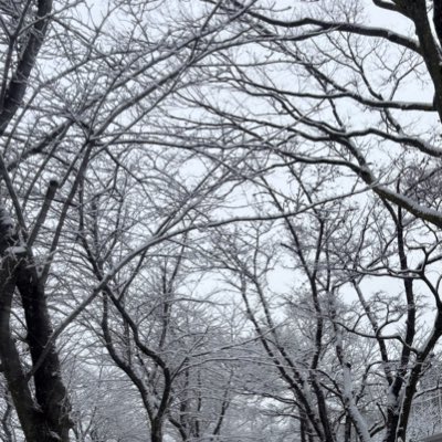 権兵衛 tweet media