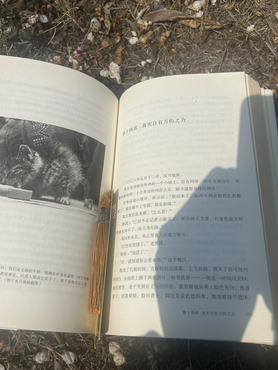 Jaron Lin 林佳龙 tweet media