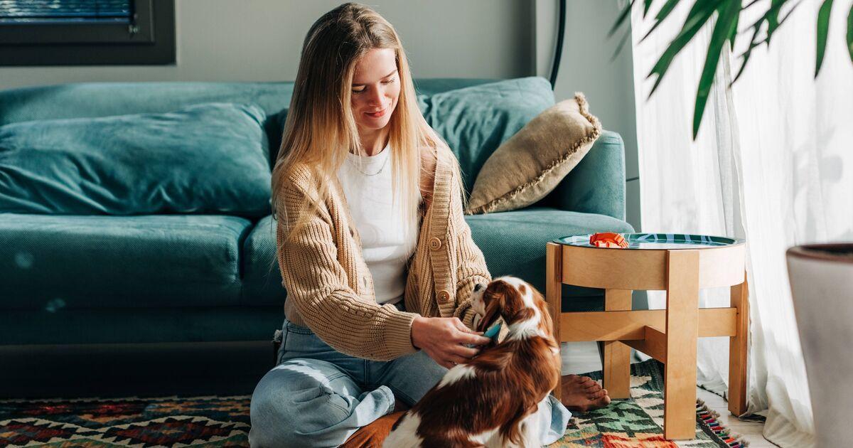 Daily Express tweet media