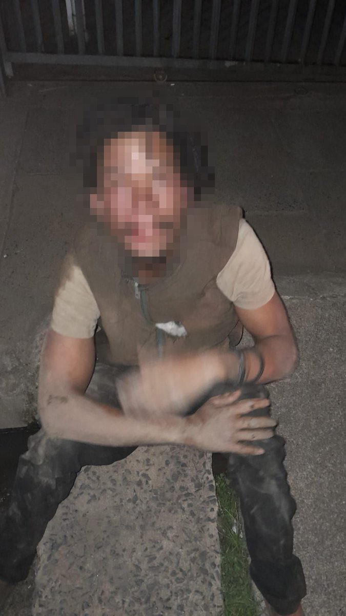 Arrive Alive tweet media