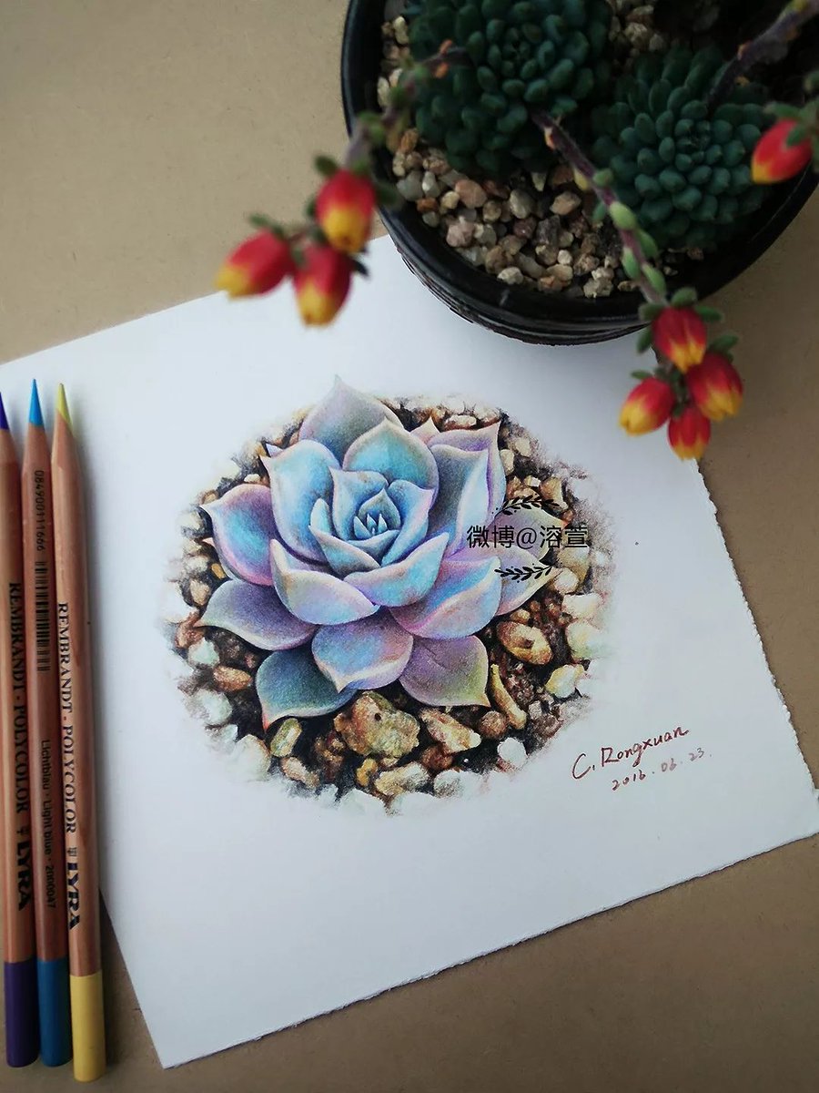 Ciro Sposito tweet media