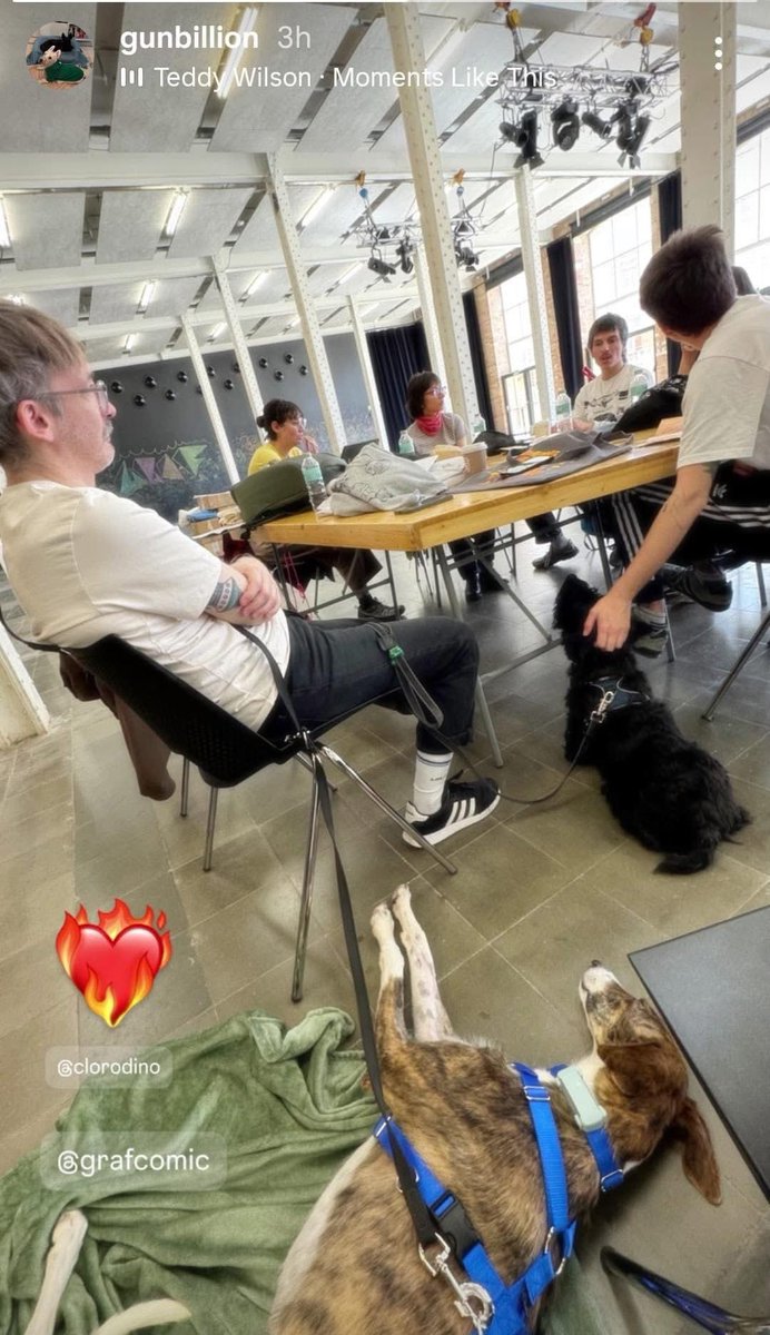 Galgos del Sol tweet media