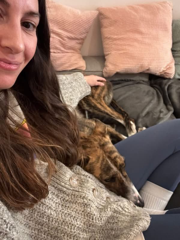 Galgos del Sol tweet media