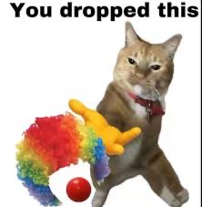 Dario 💤 tweet media