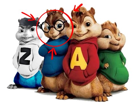 suntroot tweet media