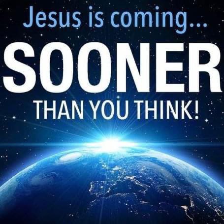 Benjamin Rapture Ready tweet media