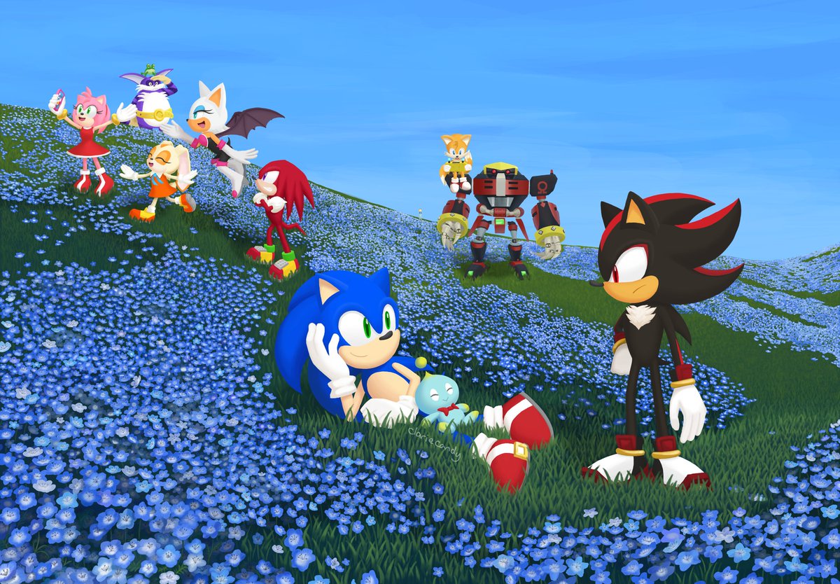 clariecandy's tweet photo. My submission for the April Sonic Channel contest!  I visited Hitachi Seaside Park a few years back and was inspired to draw for the contest when I imagined #Sonic and friends in a field of Baby Blue Eyes like this admiring the flowers ☺️
#ソニかつ #ソニック #sonicthehedgehog https://t.co/XnZulb71iB