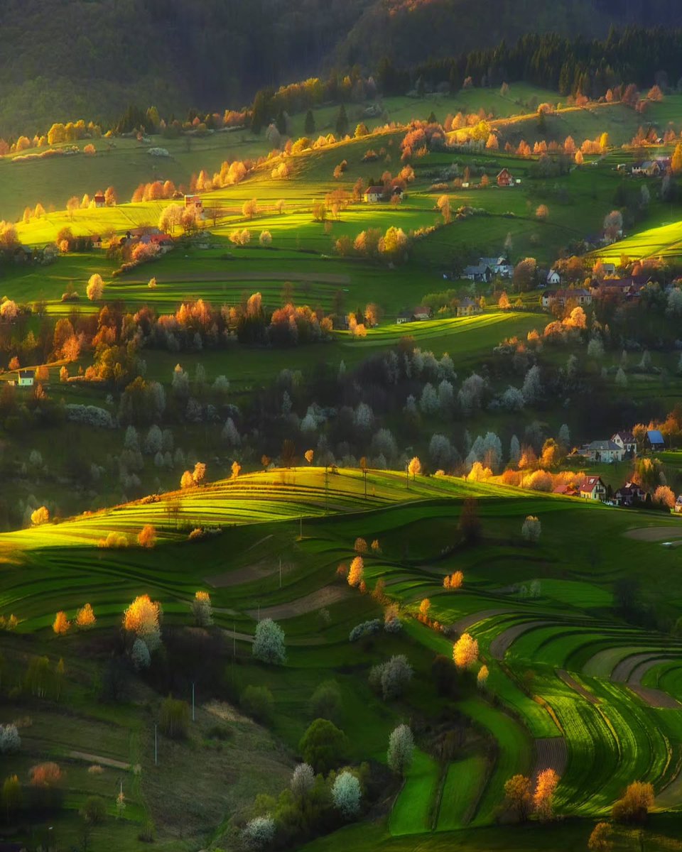 The World tweet media