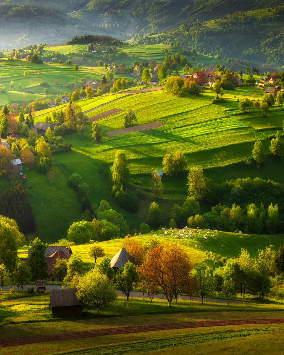 The World tweet media