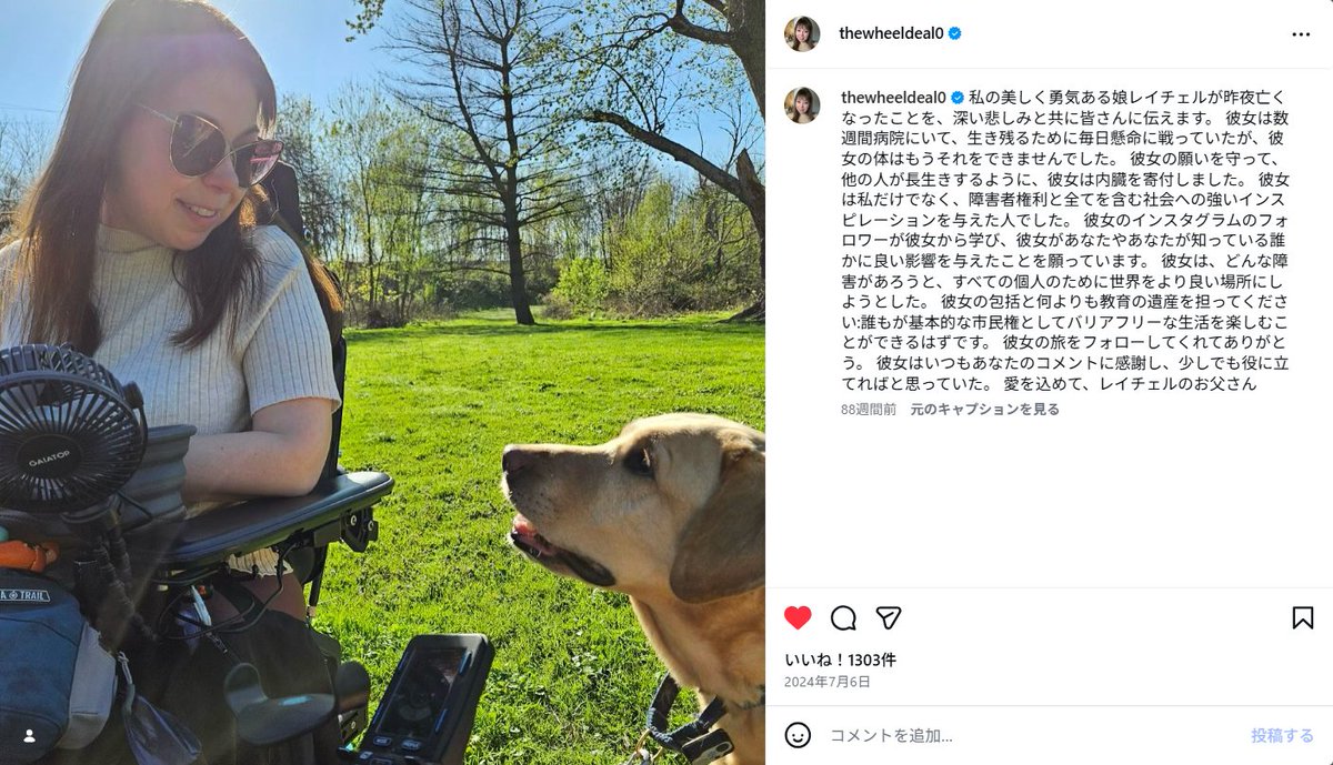 影狼 tweet media