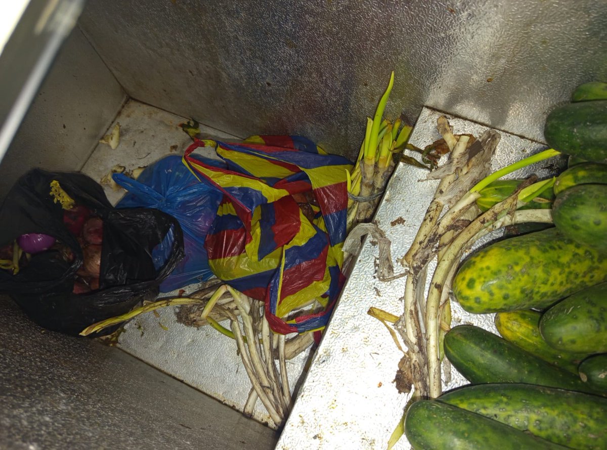 Acess Ecuador 🇪🇨 tweet media