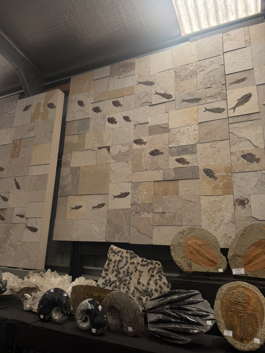 ellie 💭 tweet media