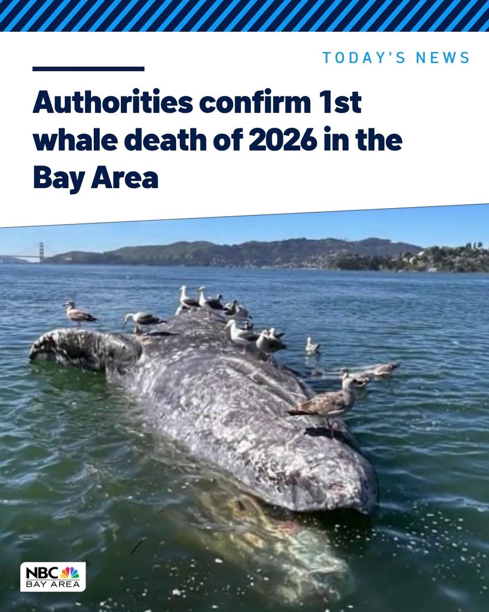 NBC Bay Area tweet media