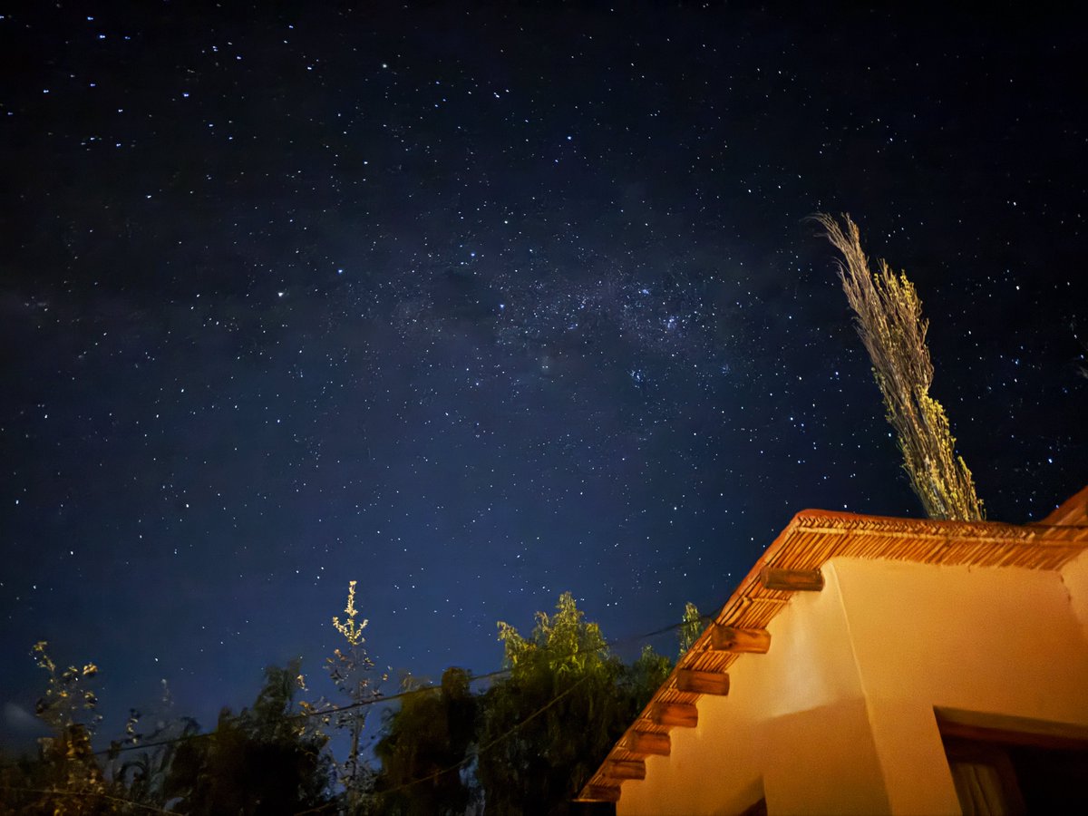 принцесса сиеста tweet media