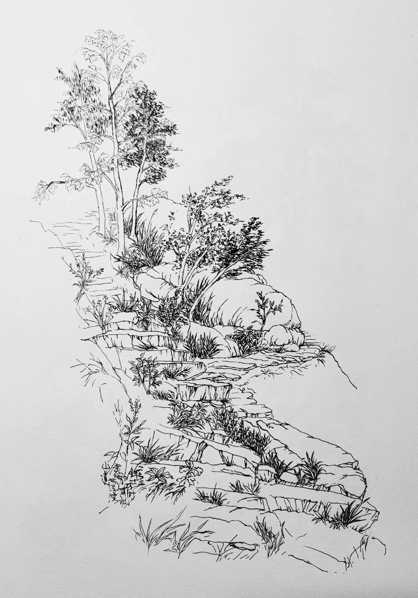 TerryCoopers tweet media