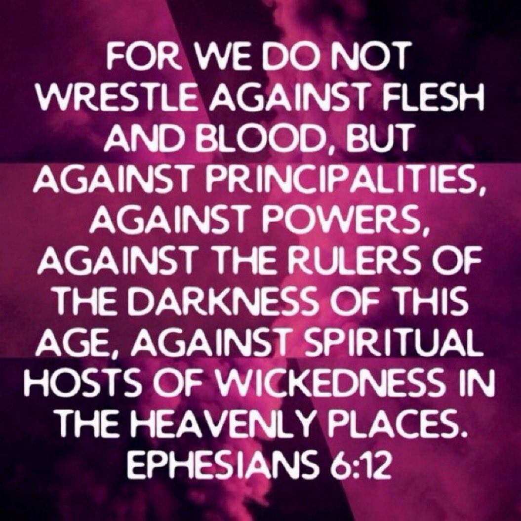 Pilsner 📄 (Gen 1:27 📖) tweet media