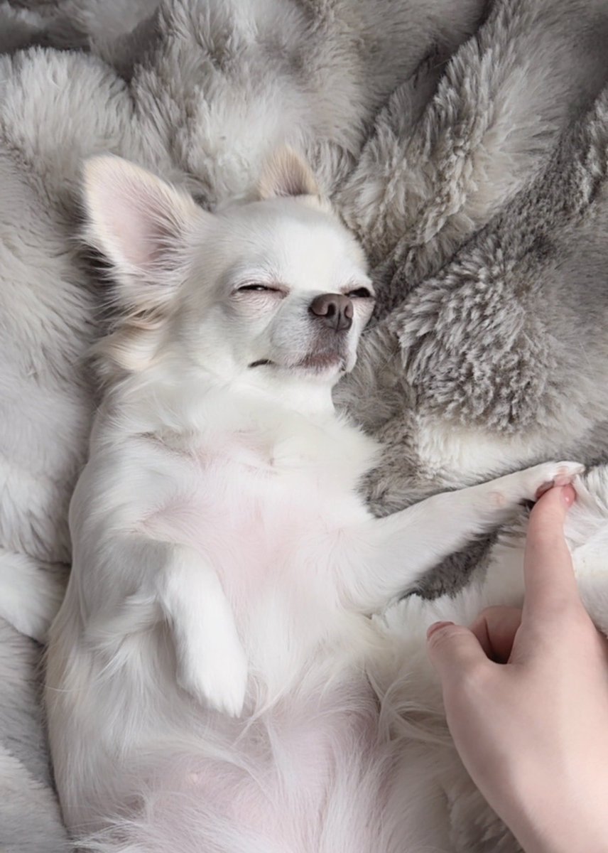 こはならむ / Kohana Lam tweet media