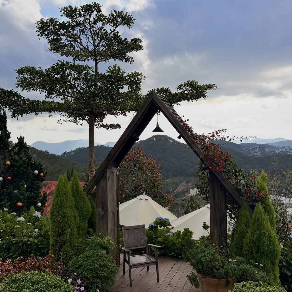 Noorie lova tweet media