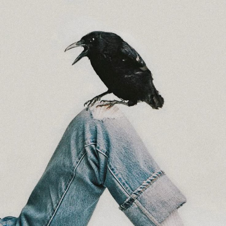 noelle ⚓︎ HEARD GEN WHY tweet media