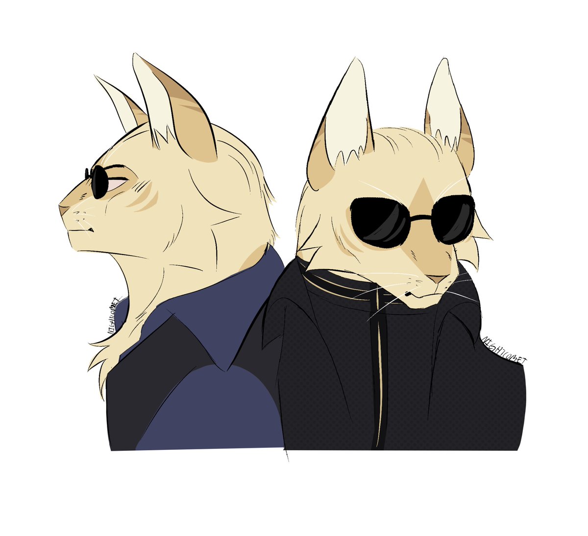 🐎Nightcomet🐎 tweet media