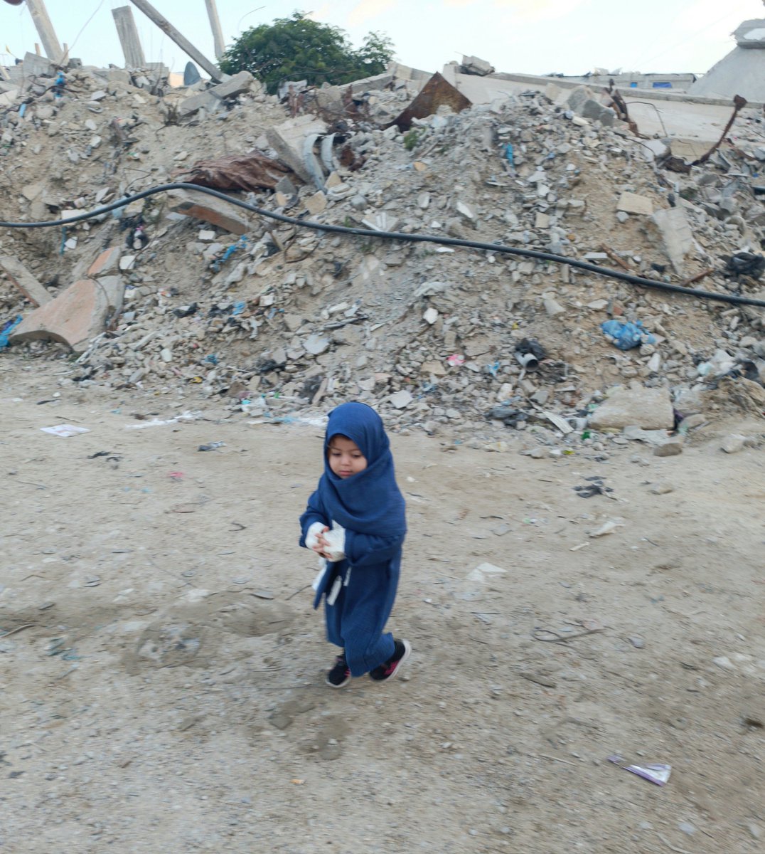 Ahmed Shameya tweet media