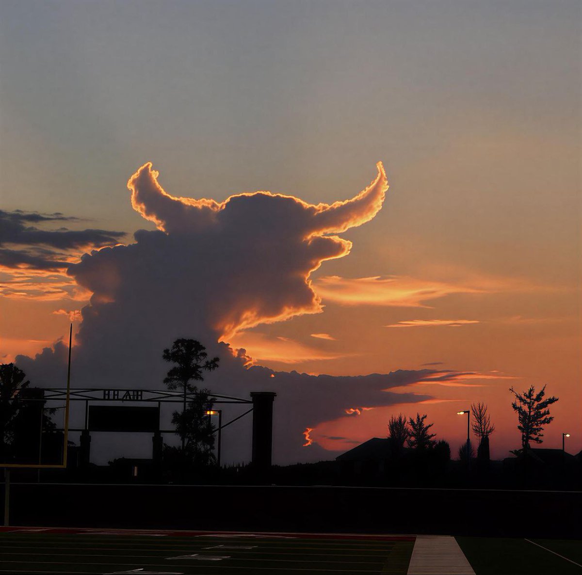 web3 whale tweet media