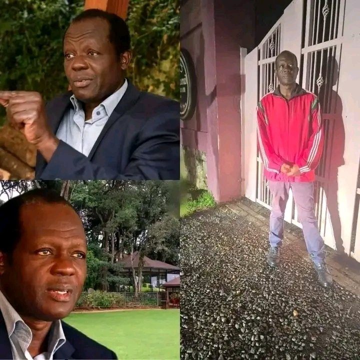 Lion of the Mountain tweet media