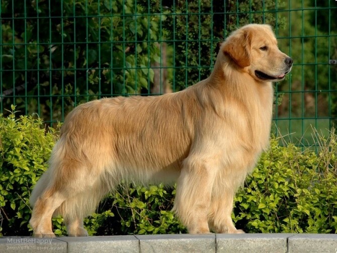 Payton Rae Team tweet media