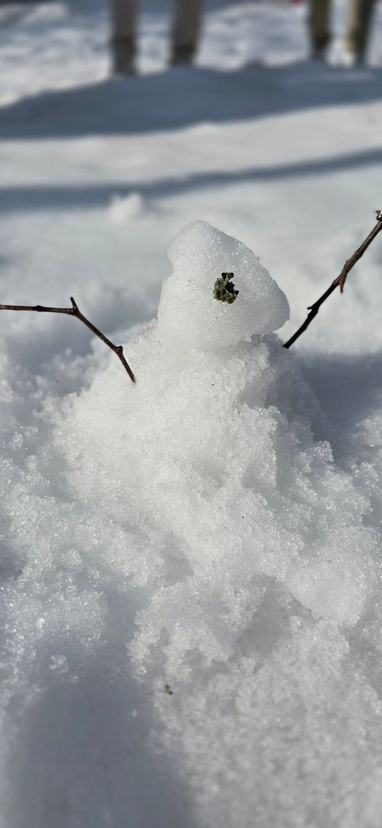 Marley Liu tweet media