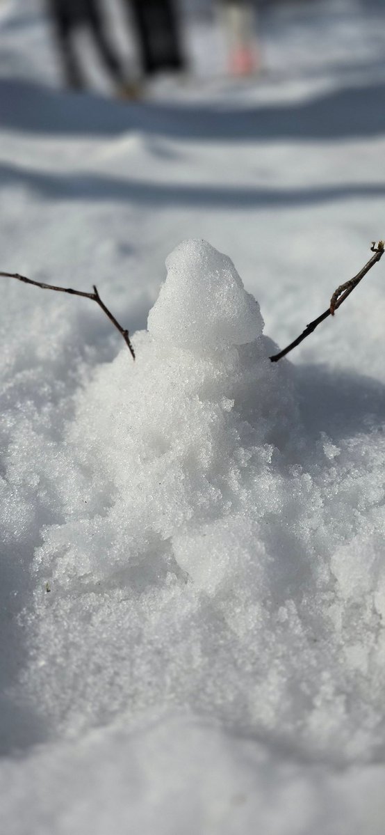 Marley Liu tweet media