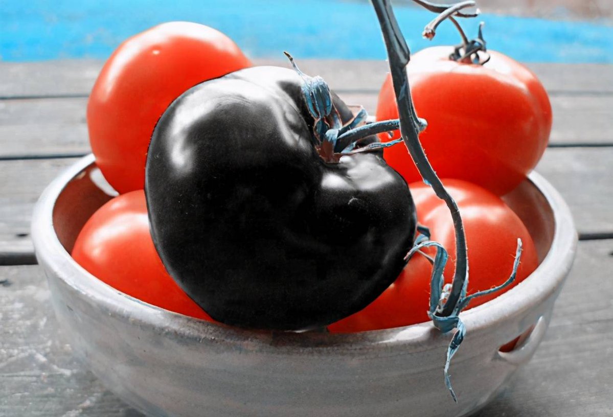 Dwayne Carter tweet media