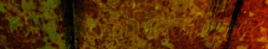 BEARSTAR News tweet media