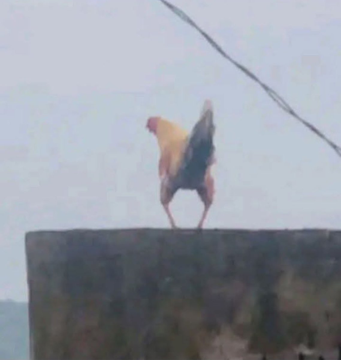 Mmesoma๐น tweet media