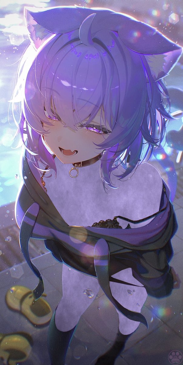 Kitty Holo tweet media