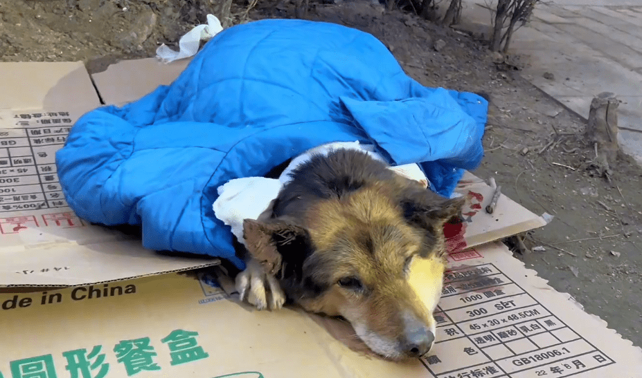 JERMEY KLINE tweet media