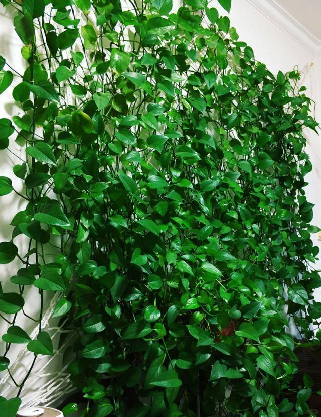 Robert L Kirschbum tweet media