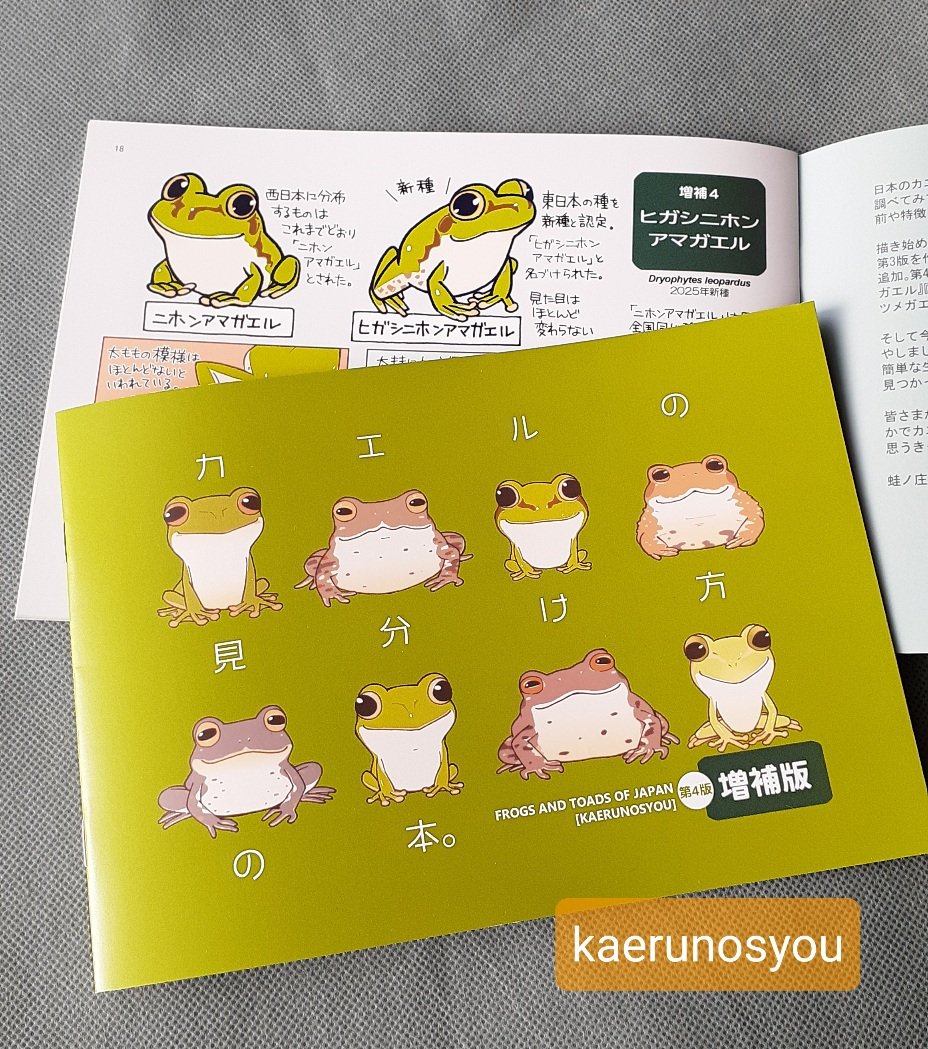 いきものづくしPOPUP NAGOYA 2026】 新作！ 『カエルの見分け方の本