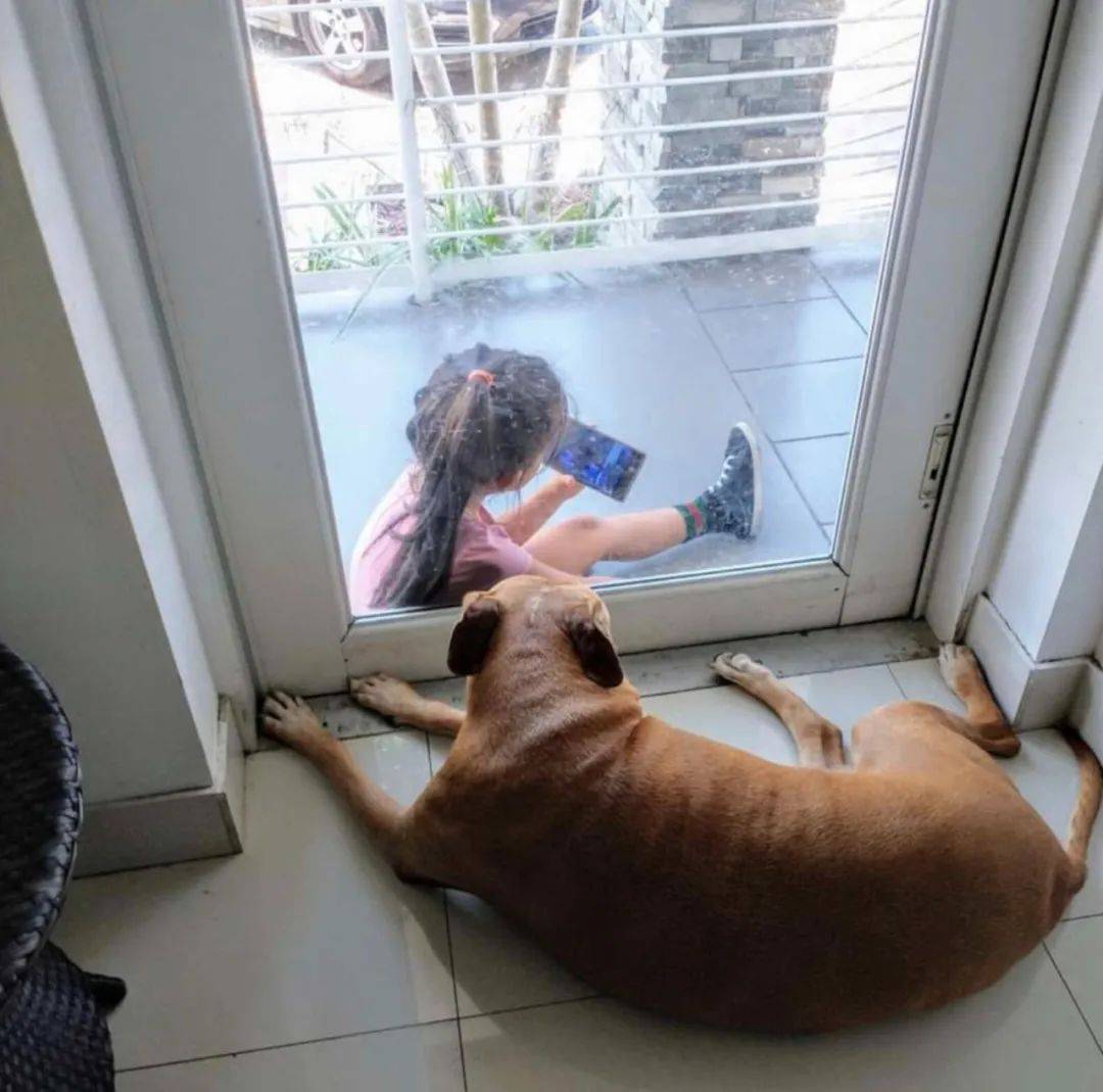 susanne ooms tweet media