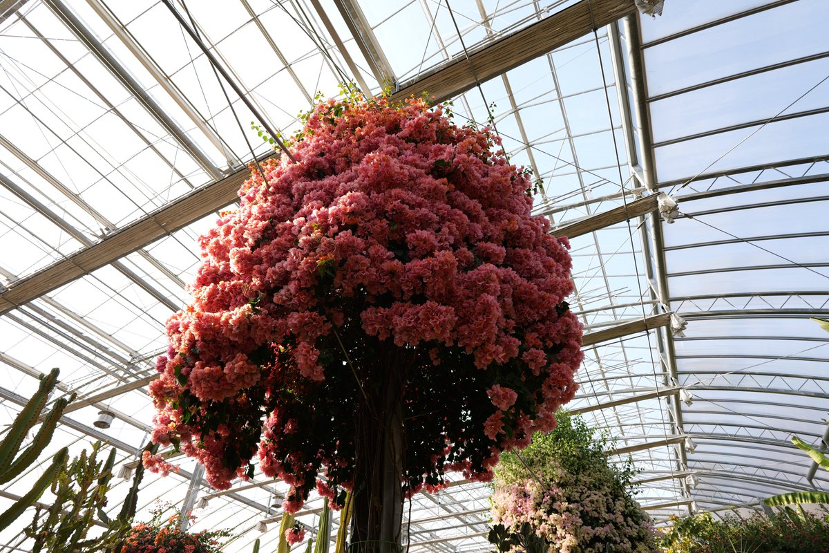 감별RuleOut tweet media