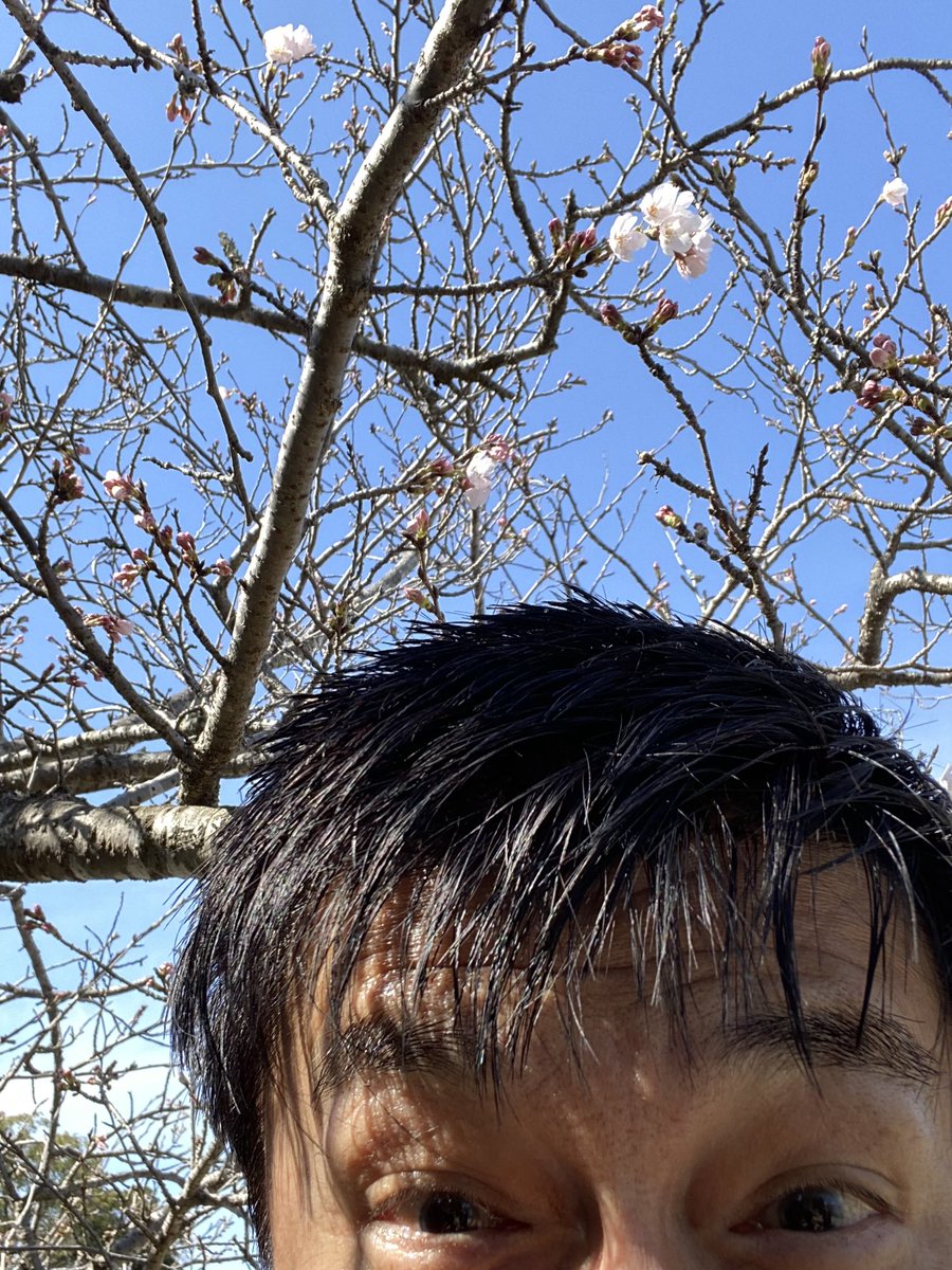 福田 健次（福岡県中間市長） tweet media