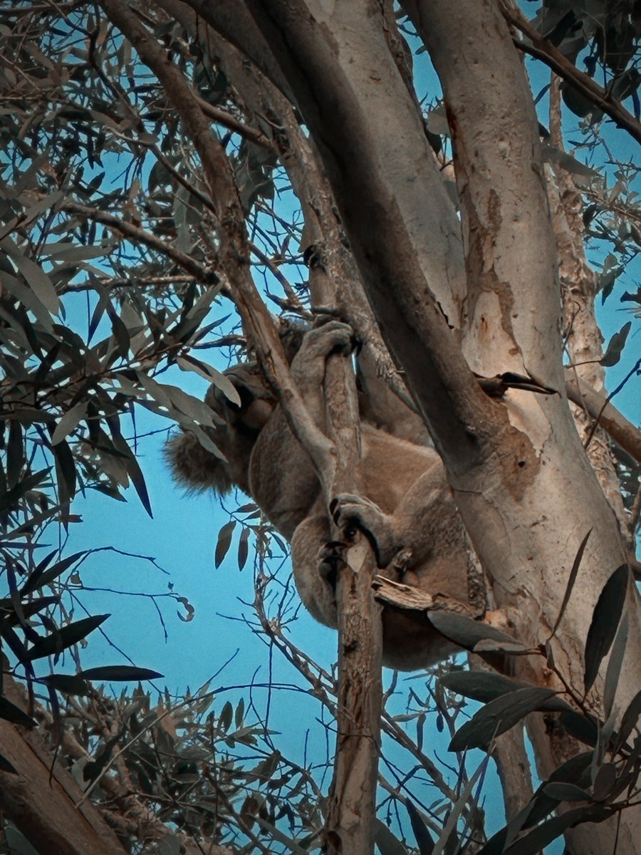 Graham Heathcote 🇺🇦🇺🇦 🌈🌈🇬🇱🇬🇱🇪🇺🇪🇺 tweet media