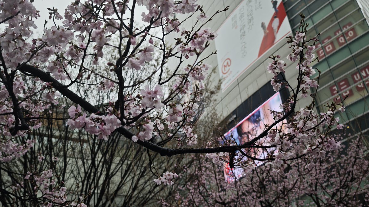 dendoh 🇵🇸✊ tweet media