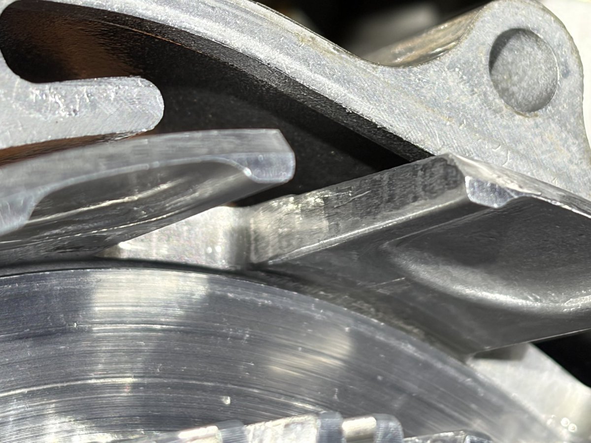 もふもふの極み☆基礎練習🌱東北支部新入り tweet media