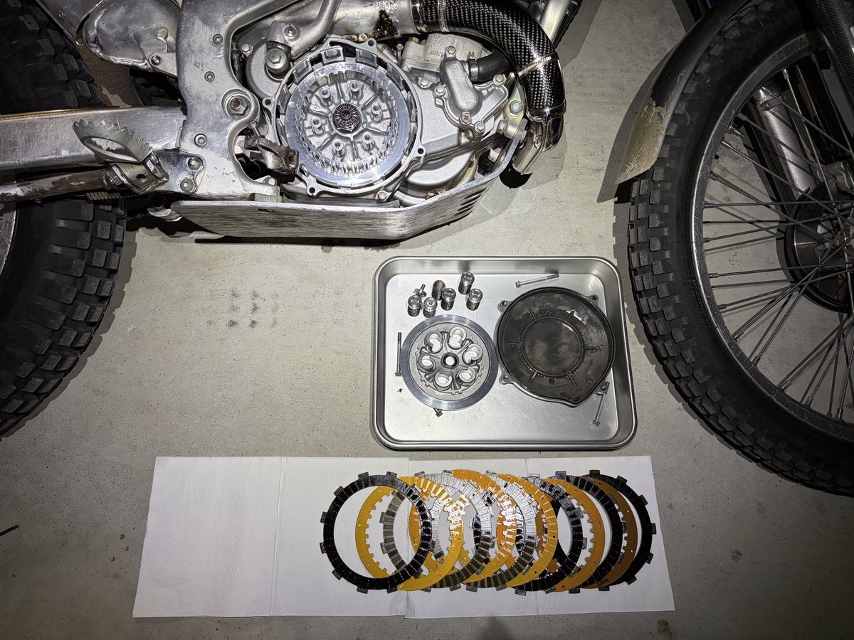 もふもふの極み☆基礎練習🌱東北支部新入り tweet media