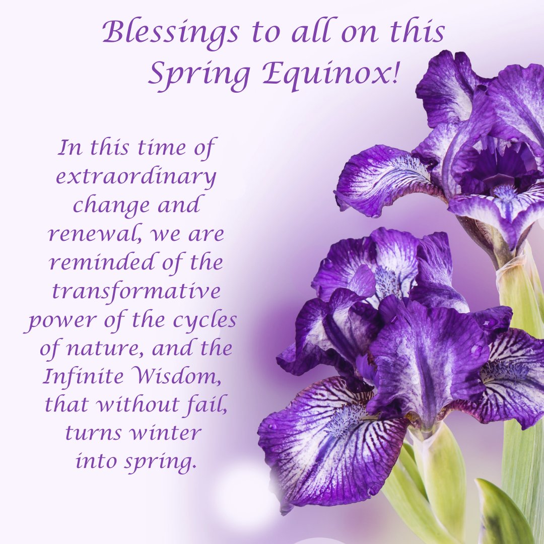 The Rosicrucians tweet media